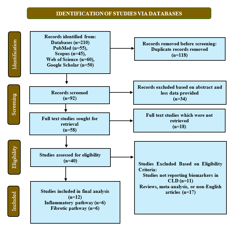 PRISMA Flow Diagram for Study Selection. The flowchart was designed according to the PRISMA guidelines 2020, showing study identification, screening, assessment eligibility, and final selection in the systematic review.